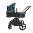 SET Kinderwagen Evoque + Farbset